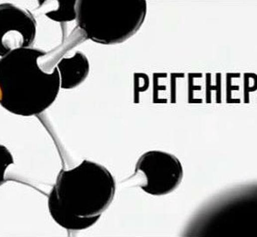 Ученые разработали новый метод восстановления мышц
