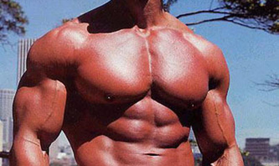 Main features of shoulder training