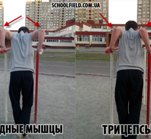 Отжимания на брусьях для груди и трицепсов