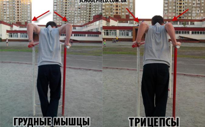 Віджимання на брусах для грудей і трицепсів