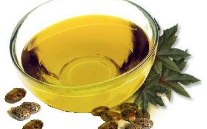 Castor oil - restoration of damaged hair