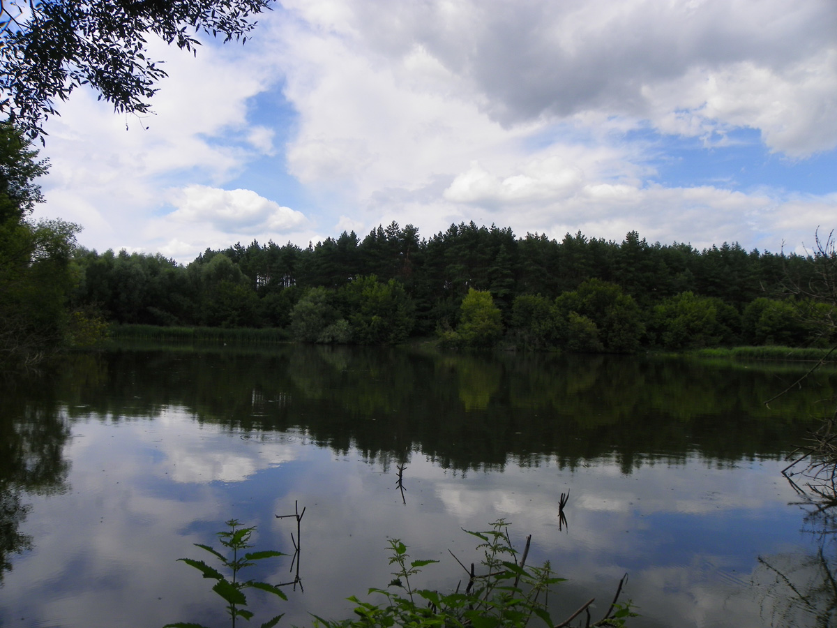 Фотовиж 2009-7-23