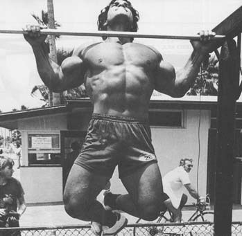 Learning to do pull-ups - useful qualities of chin-ups