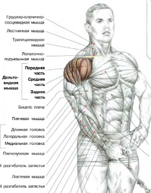из-нижнего-блока-подъем