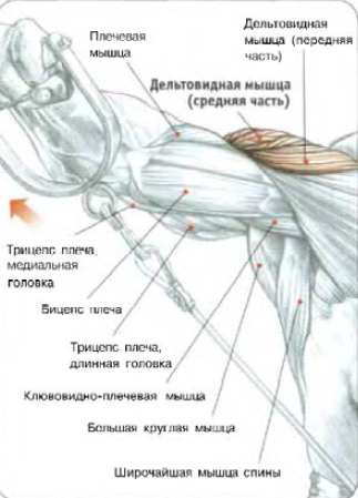из-нижнего-блока-подъем2