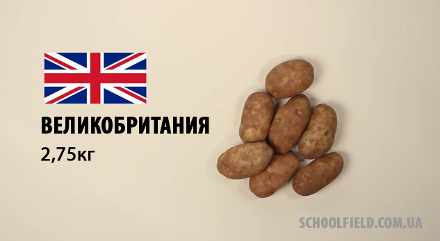 анг