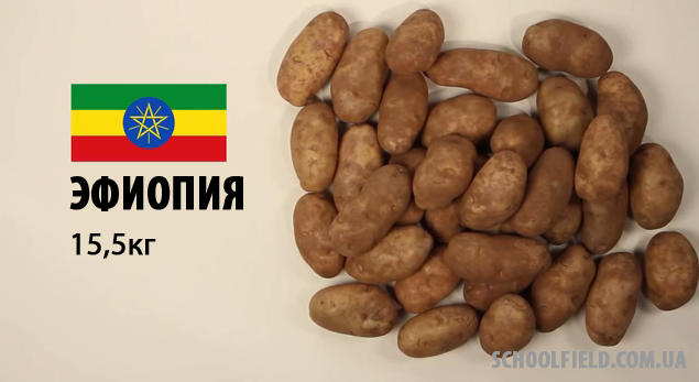 эфиопия
