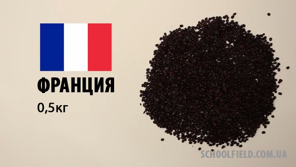 Франц