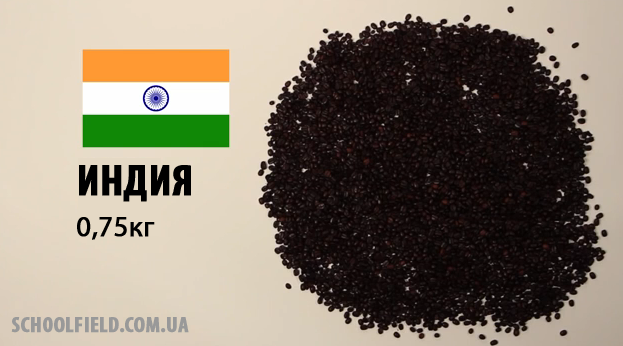 Индия